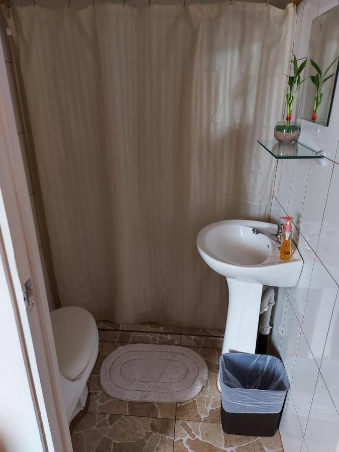 Eco Stay Hostel San José Dış mekan fotoğraf