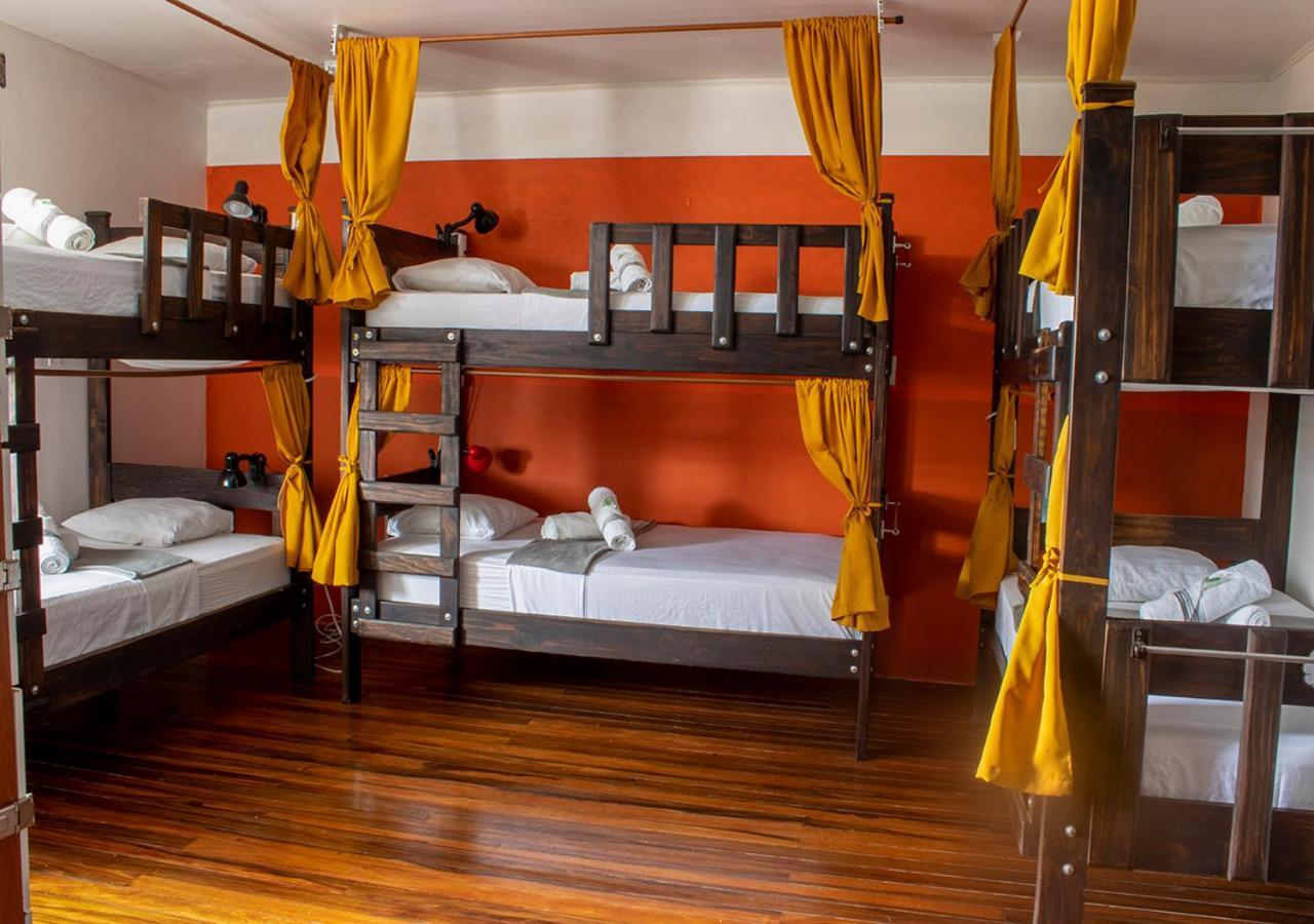 Eco Stay Hostel San José Dış mekan fotoğraf