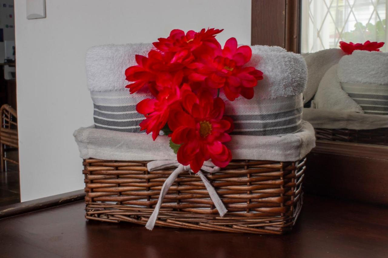 Eco Stay Hostel San José Dış mekan fotoğraf