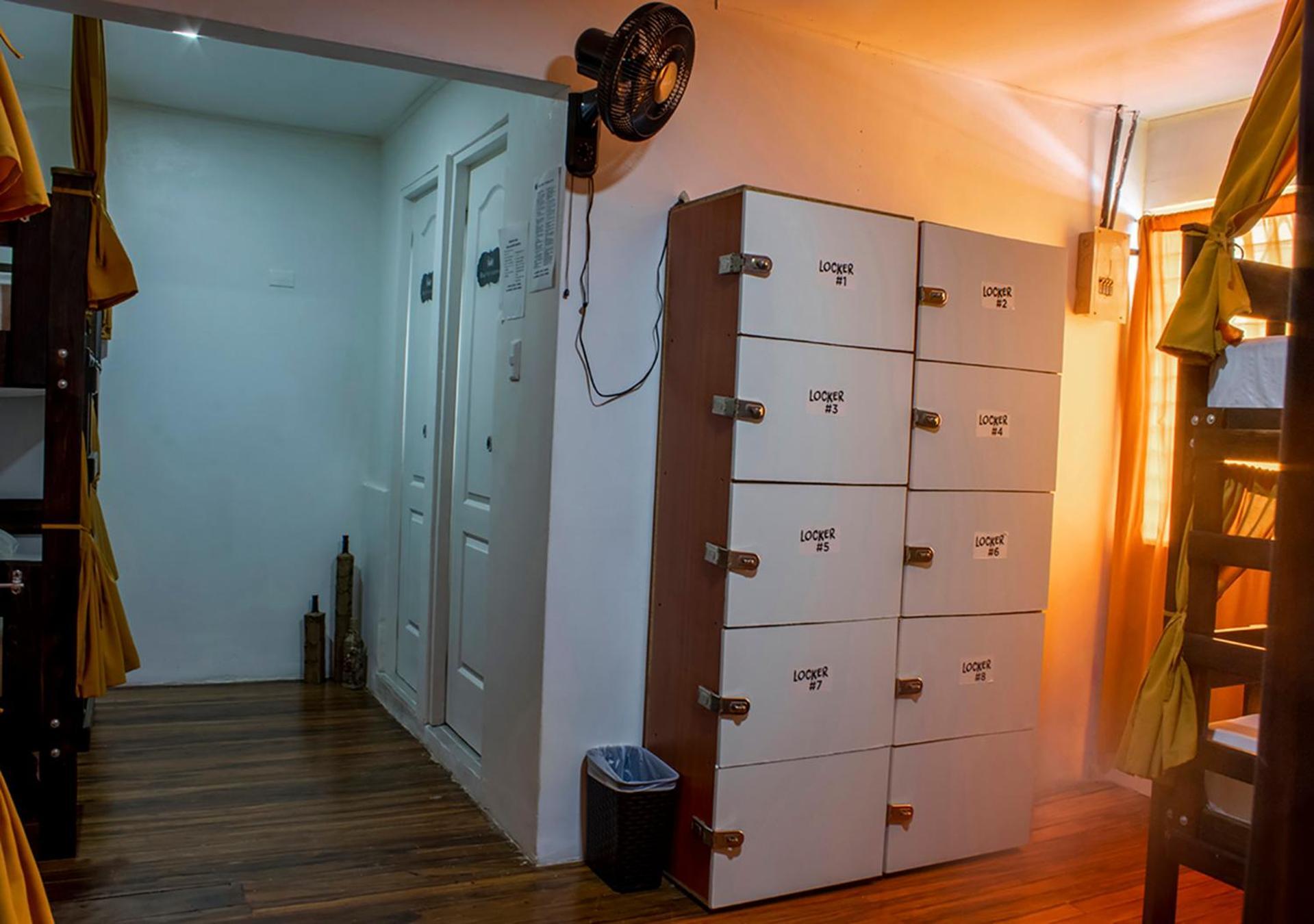 Eco Stay Hostel San José Oda fotoğraf