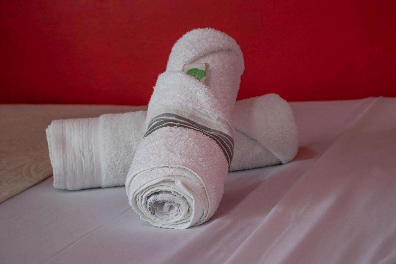 Eco Stay Hostel San José Dış mekan fotoğraf