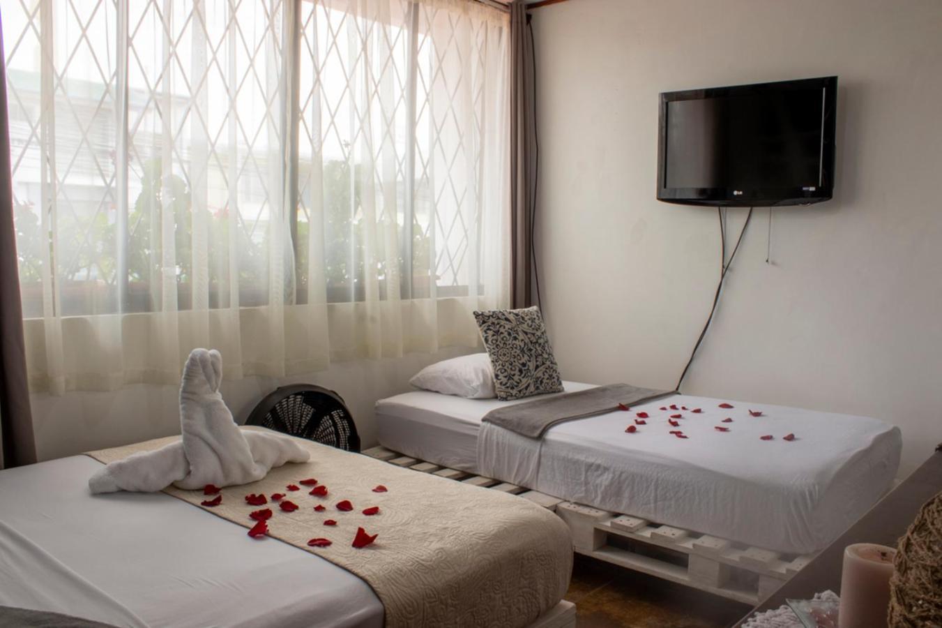 Eco Stay Hostel San José Dış mekan fotoğraf
