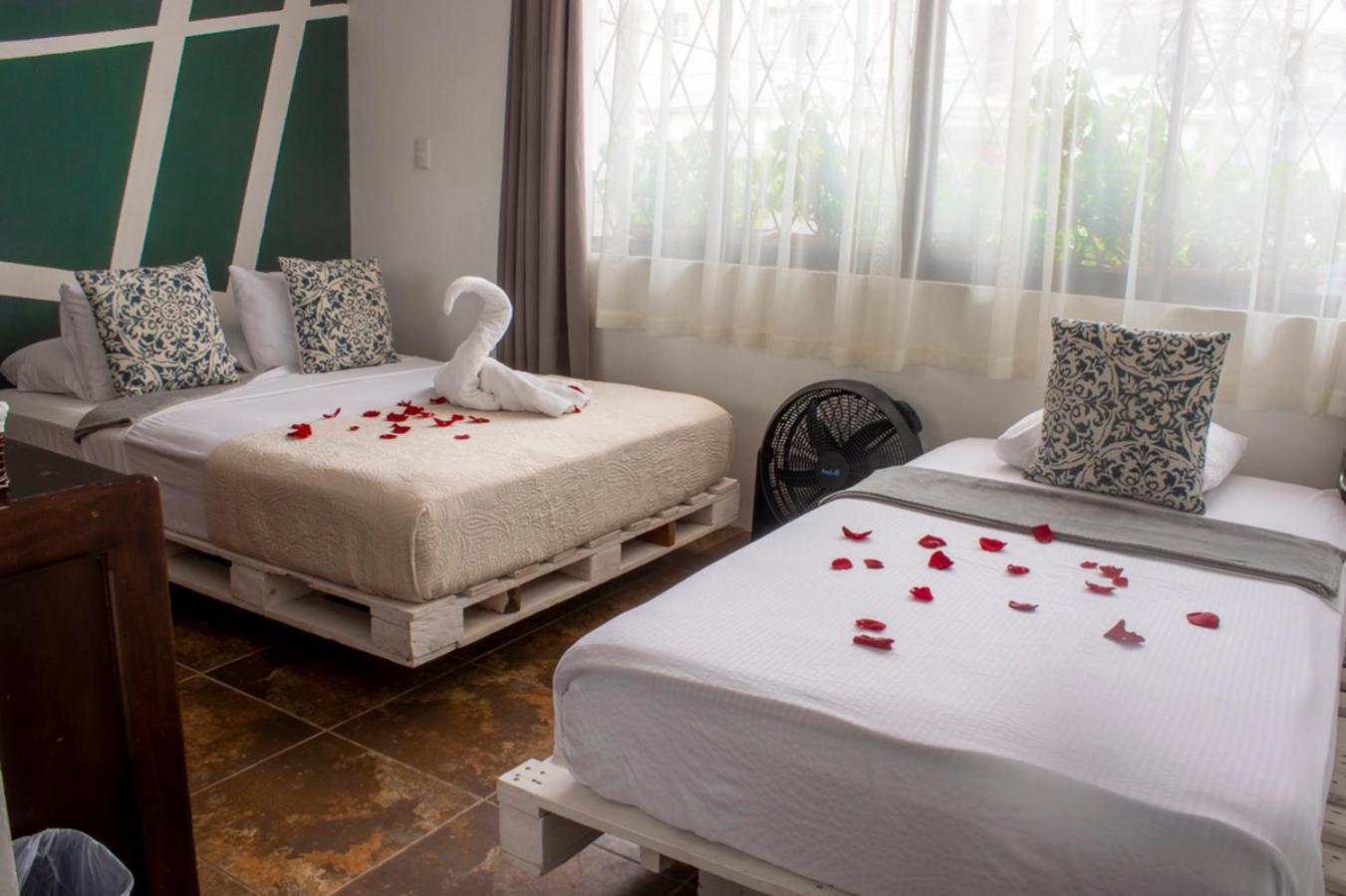 Eco Stay Hostel San José Dış mekan fotoğraf