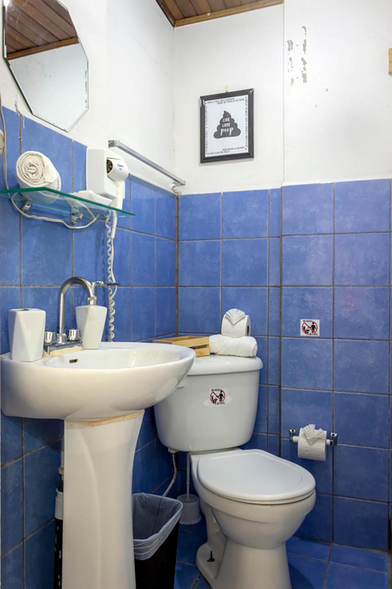 Eco Stay Hostel San José Dış mekan fotoğraf