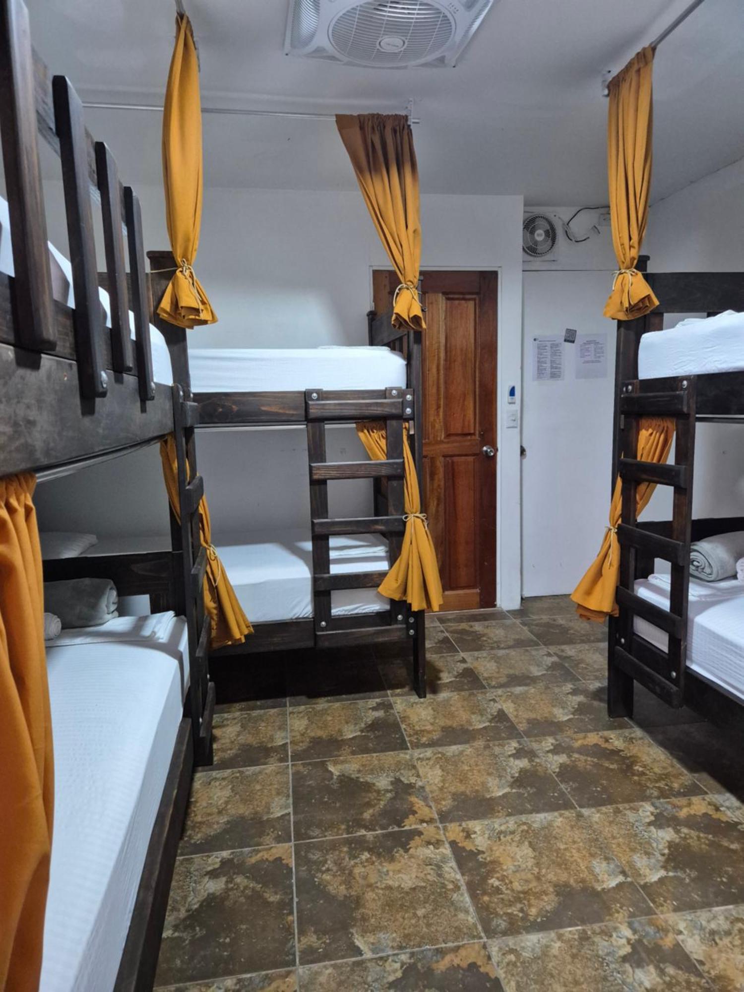Eco Stay Hostel San José Dış mekan fotoğraf